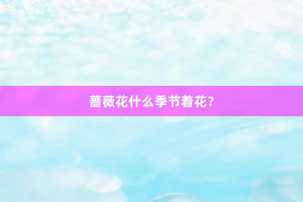 蔷薇花什么季节着花?