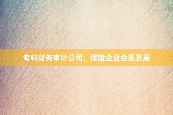 专科财务审计公司，保险企业合规发展